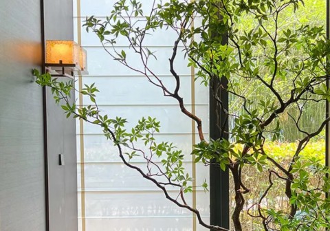 Thiết kế tiểu cảnh cây giả cho nhà ống
